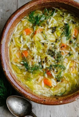 Orzo Leek and Dill Soup