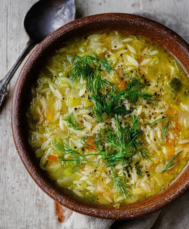Orzo Leek and Dill Soup